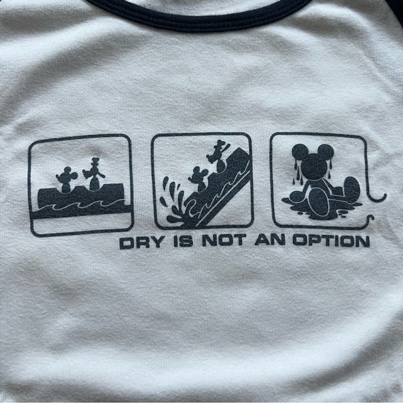 Disney Parks / Walt Disney World Splash Mountain “Dry Is Not An Option” Shirt - Picture 2 of 10